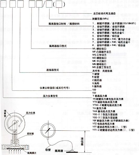 耐震隔膜（mó）壓力（lì）表(圖2)