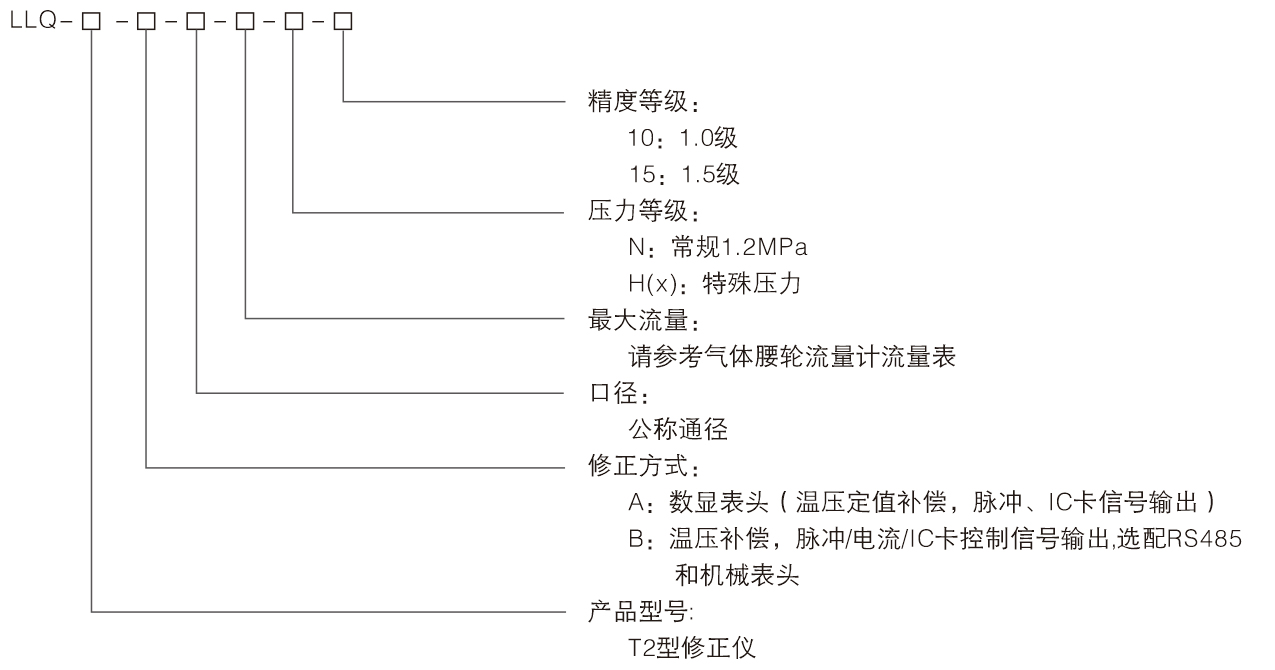 氣（qì）體羅茨流量計(圖1)